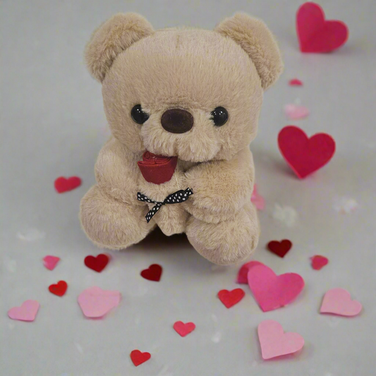 Valentine's Teddy Holding Rose~comes with Gift Box