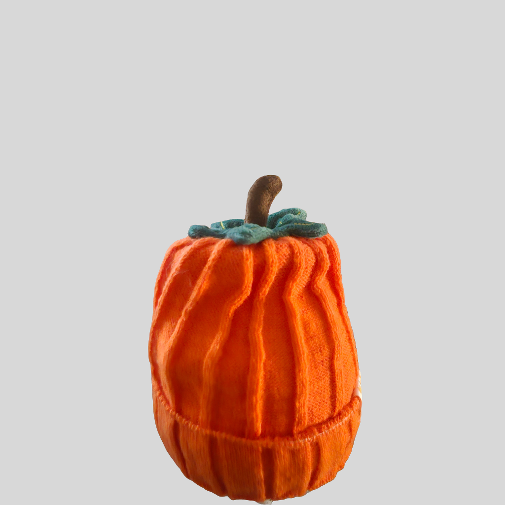 Youth Pumpkin Festive Hat