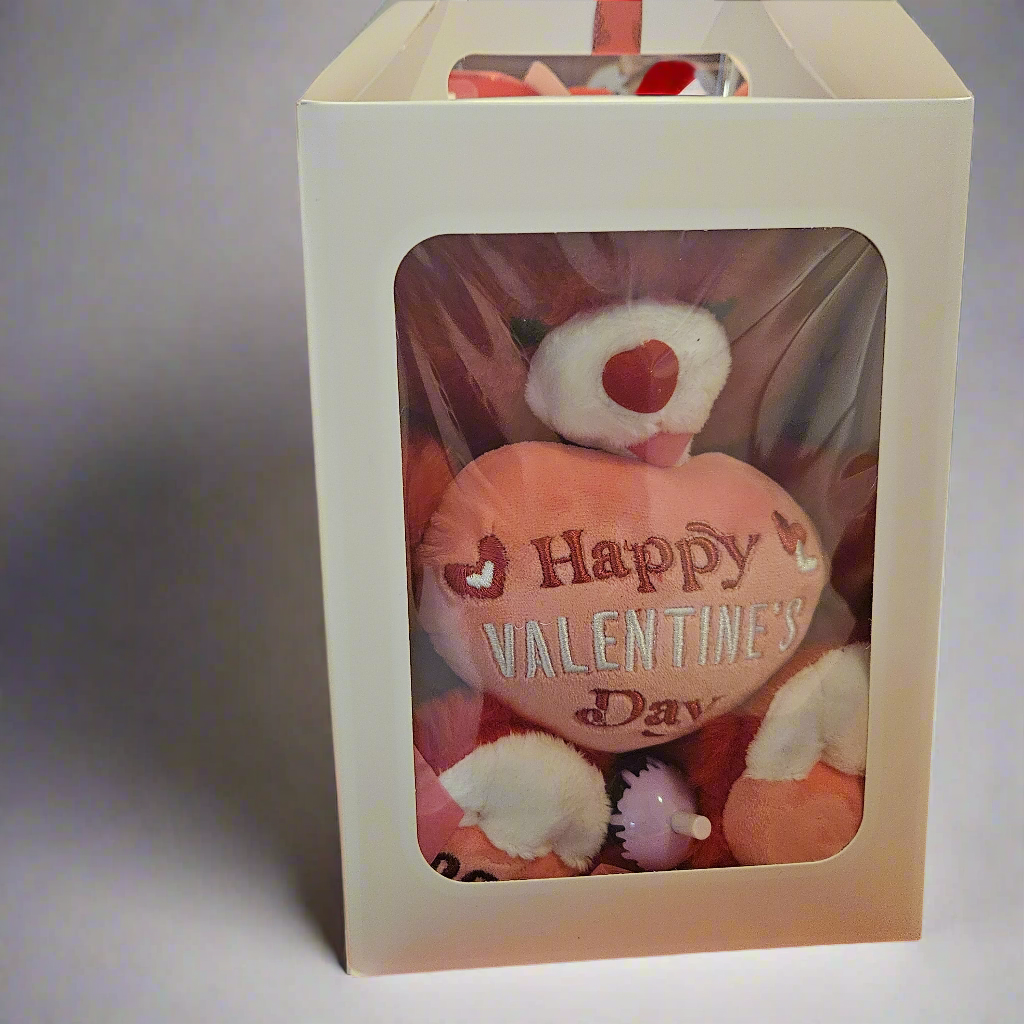 Valentine's Bear Gift Box