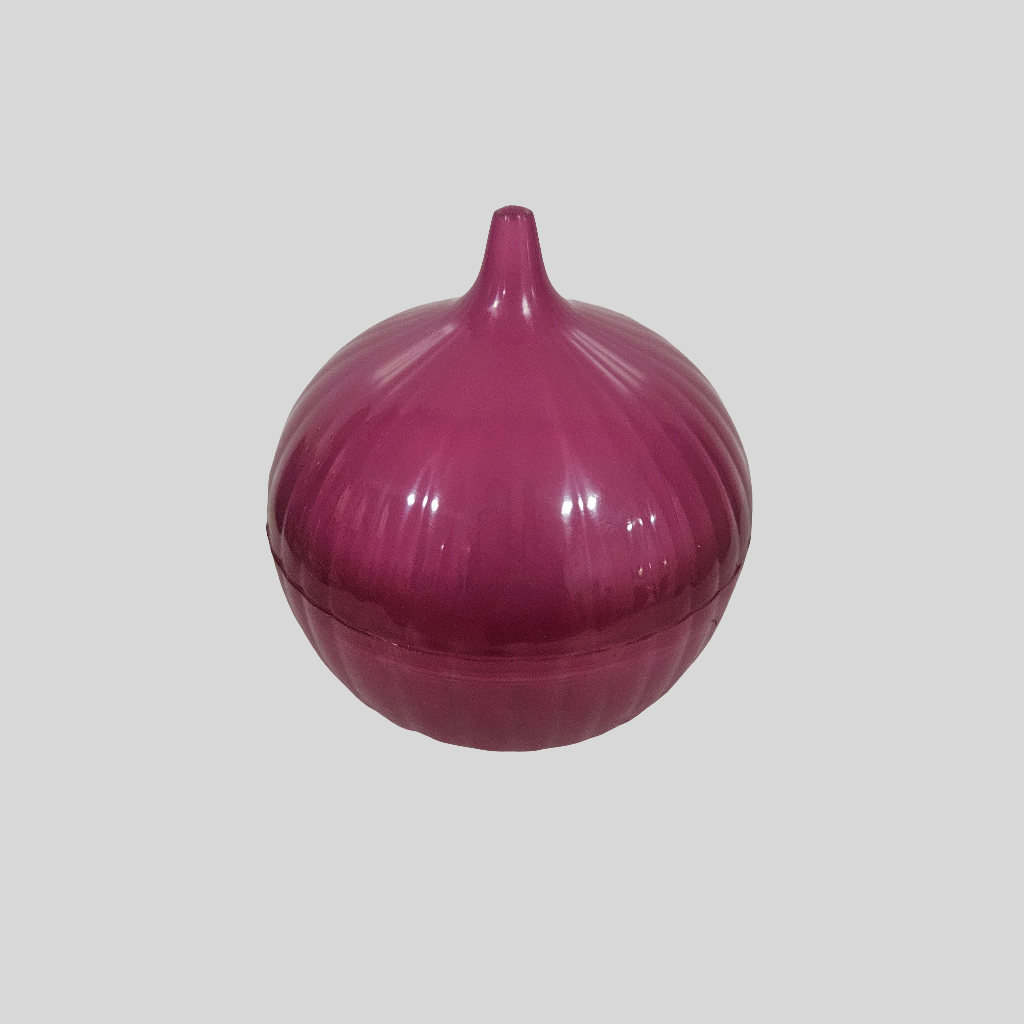 Onion Storage Container