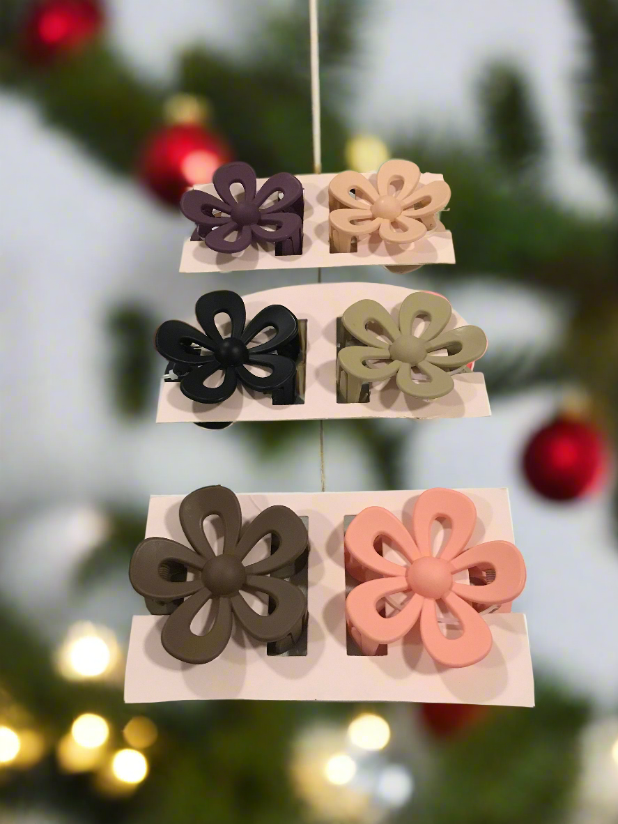 Pretty Hair Clips