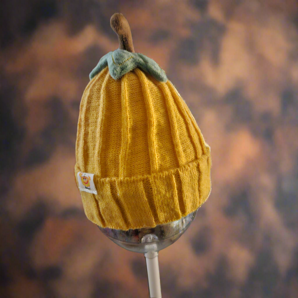 Youth Pumpkin Festive Hat