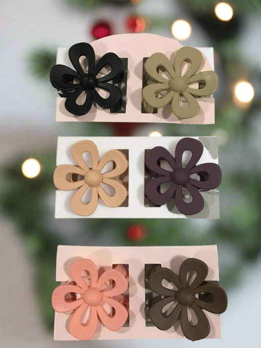 Pretty Hair Clips