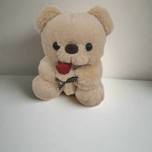 Valentine's Teddy Holding Rose~comes with Gift Box